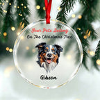 Your Pets Belong On The Christmas Tree-Personalized Pet Christmas Ornament