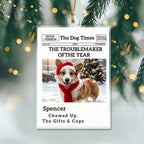 The Little Trouble Maker We’ll Always Love – Personalized Dog Cat Christmas Ornament  For Pet Lovers
