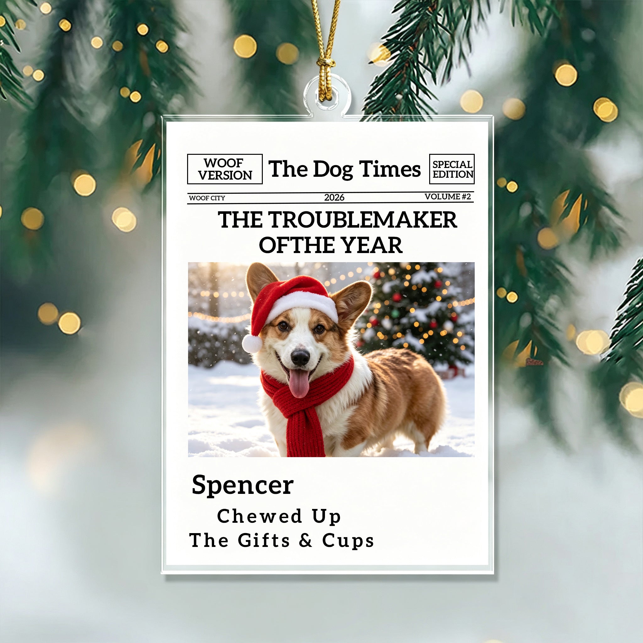 The Little Trouble Maker We’ll Always Love – Personalized Dog Cat Christmas Ornament  For Pet Lovers