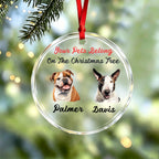 Your Pets Belong On The Christmas Tree-Personalized Pet Christmas Ornament