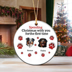 Personalized Pet Christmas Ceramic 3D Effect Ornament With Name