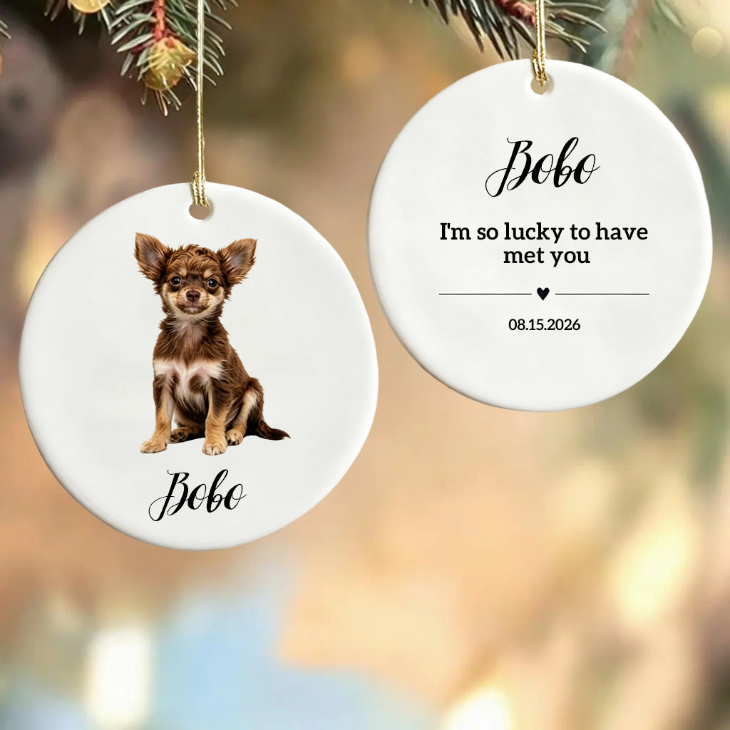 I'm So Lucky To Have Met You-Personalized Ceramic Ornament For Christmas Dog Dad,Mom,Pet Owner