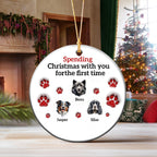 Spending Christmas With You for the First Time-Personalized Pet Christmas Ornament For Pet Lovers