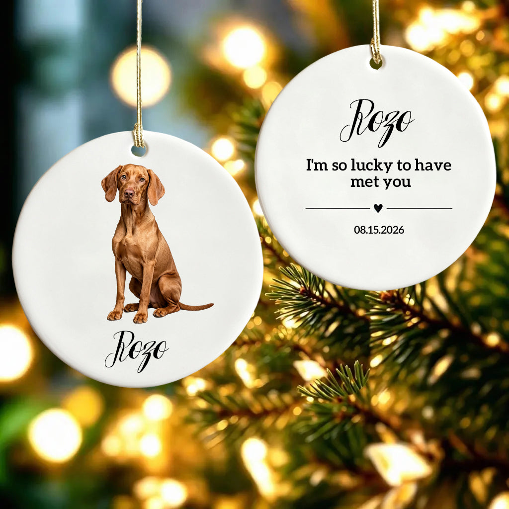 I'm So Lucky To Have Met You-Personalized Ceramic Ornament For Christmas Dog Dad,Mom,Pet Owner