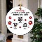 Personalized Pet Christmas Ceramic 3D Effect Ornament With Name