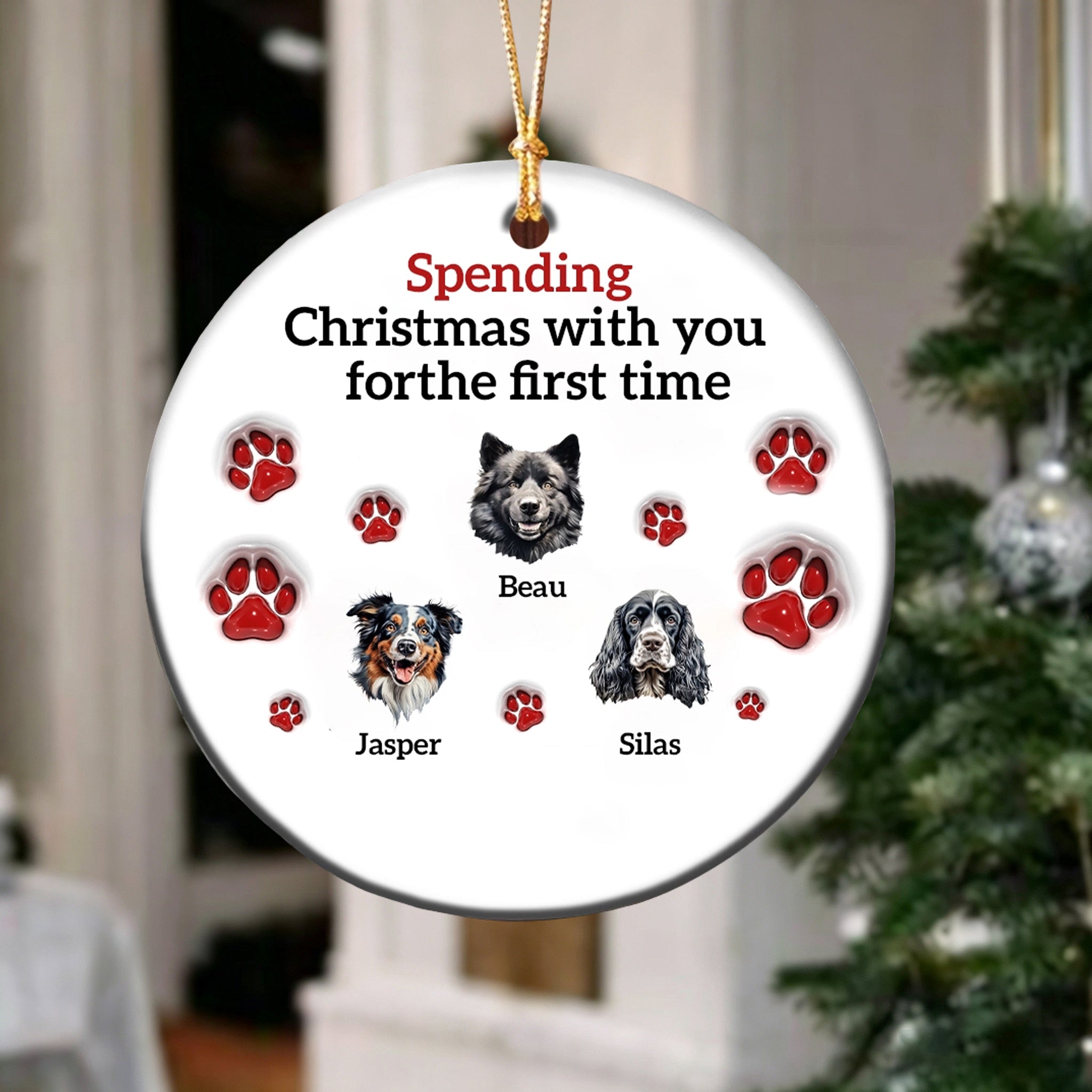 Personalized Pet Christmas Ceramic 3D Effect Ornament With Name