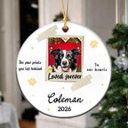 Custom Dog Cat Photo Ornament,Personalized Memorial Christmas Ornament For Pet Lovers,Dad,Mom