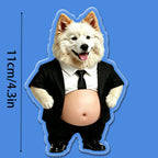 Custom Photo Dog&Cat Belly Mochi Squishy Fridge Magnet,Cute Squeeze Toys