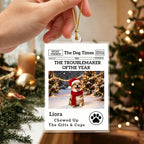 The Little Trouble Maker We’ll Always Love – Personalized Dog Cat Christmas Ornament  For Pet Lovers