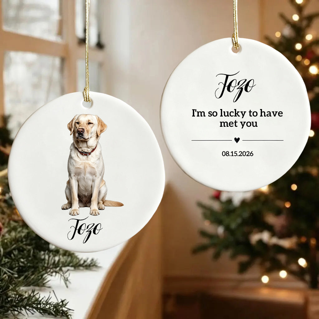 I'm So Lucky To Have Met You-Personalized Ceramic Ornament For Christmas Dog Dad,Mom,Pet Owner