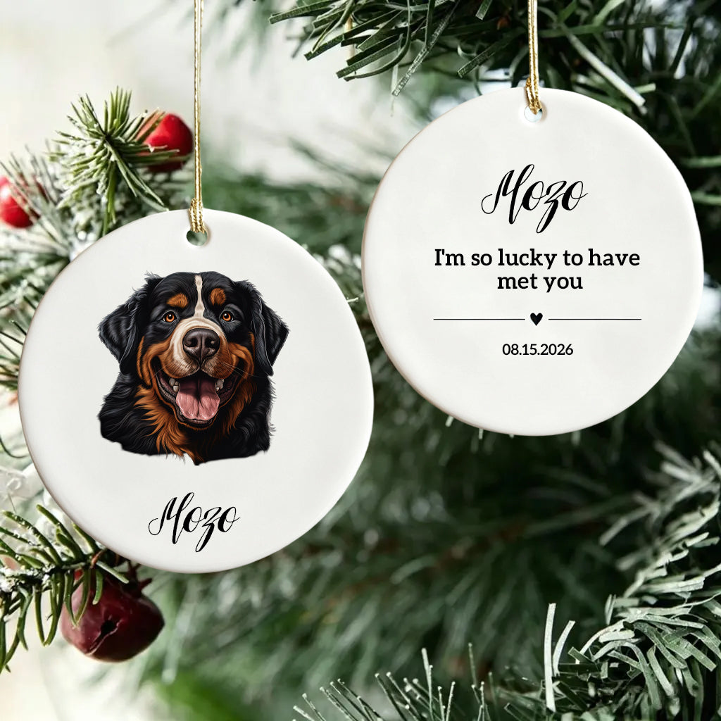 I'm So Lucky To Have Met You-Personalized Ceramic Ornament For Christmas Dog Dad,Mom,Pet Owner