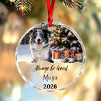 Always Be Loved-Personalized Pet Photo Memorial Christmas Ornament