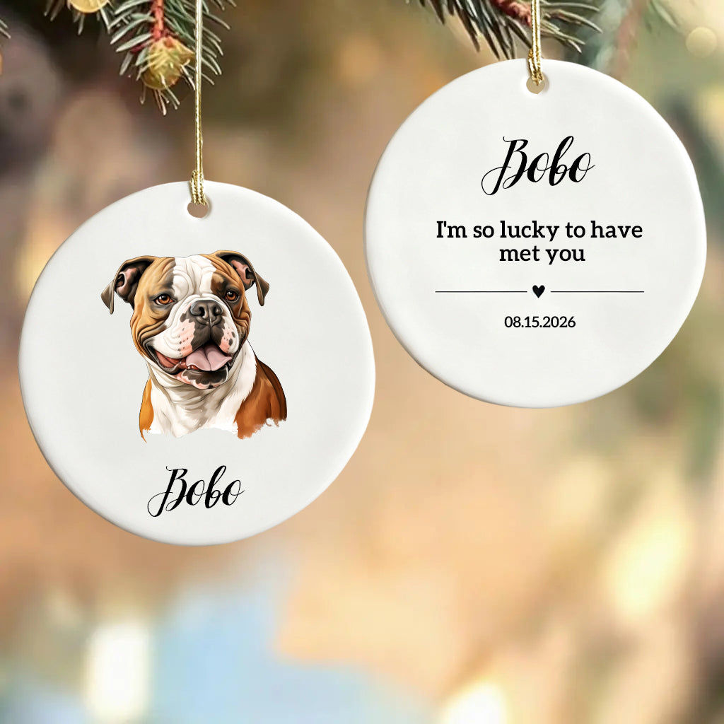 I'm So Lucky To Have Met You-Personalized Ceramic Ornament For Christmas Dog Dad,Mom,Pet Owner
