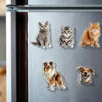 Custom Pet Photo Fridge Magnet - Personalized Acrylic Cat & Dog Cutout,Kitchen Decor