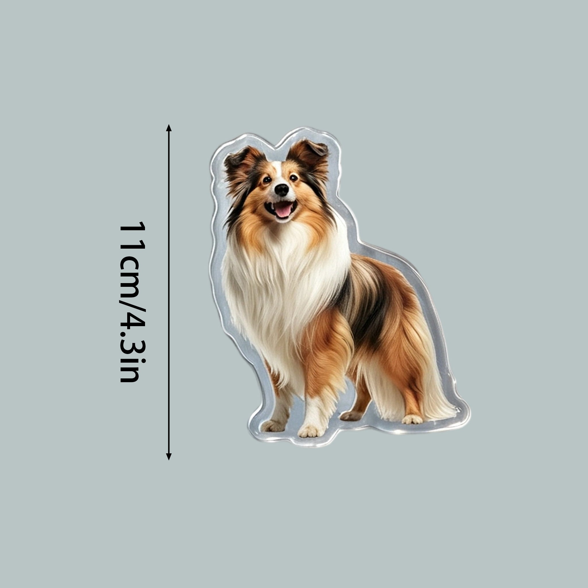 Custom Pet Photo Fridge Magnet - Personalized Acrylic Cat & Dog Cutout,Kitchen Decor