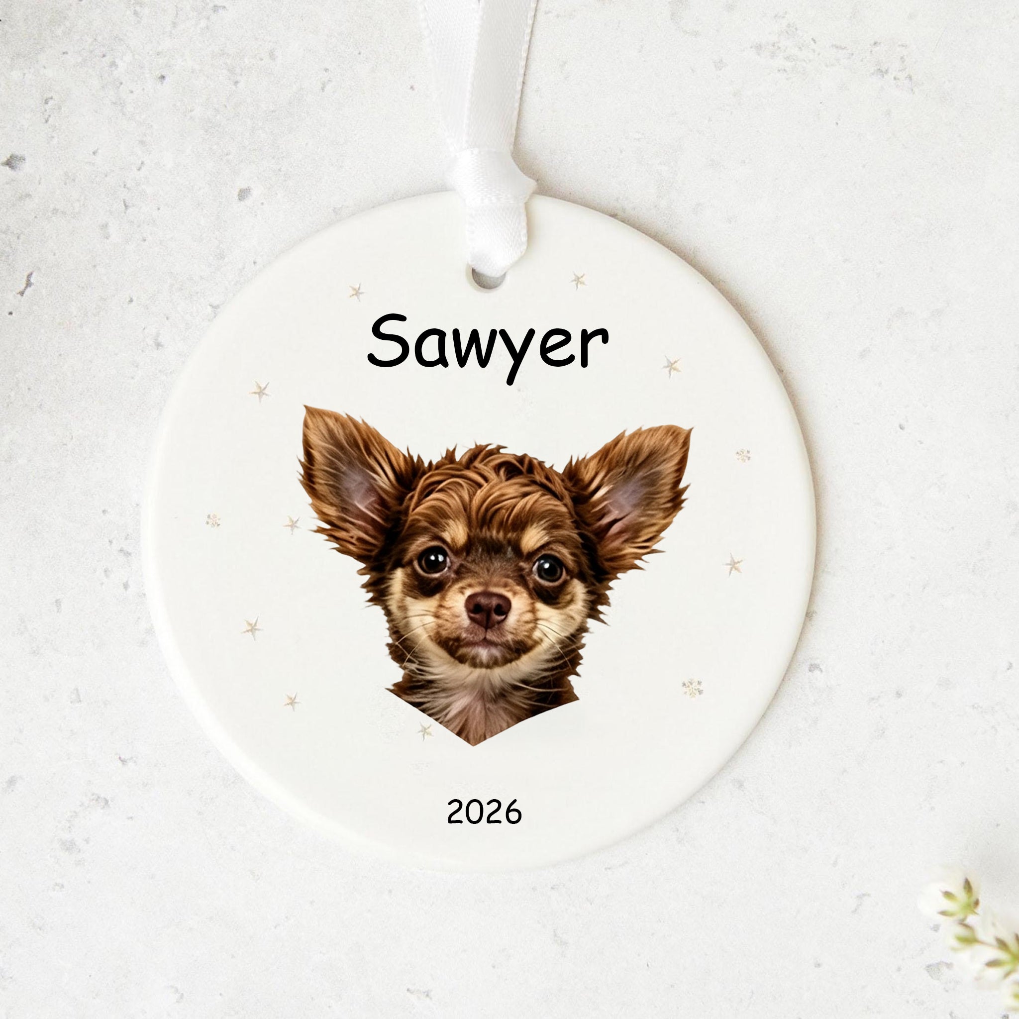 Personalized Christmas Ornament for Dogs, Custom Pet Name Keepsake