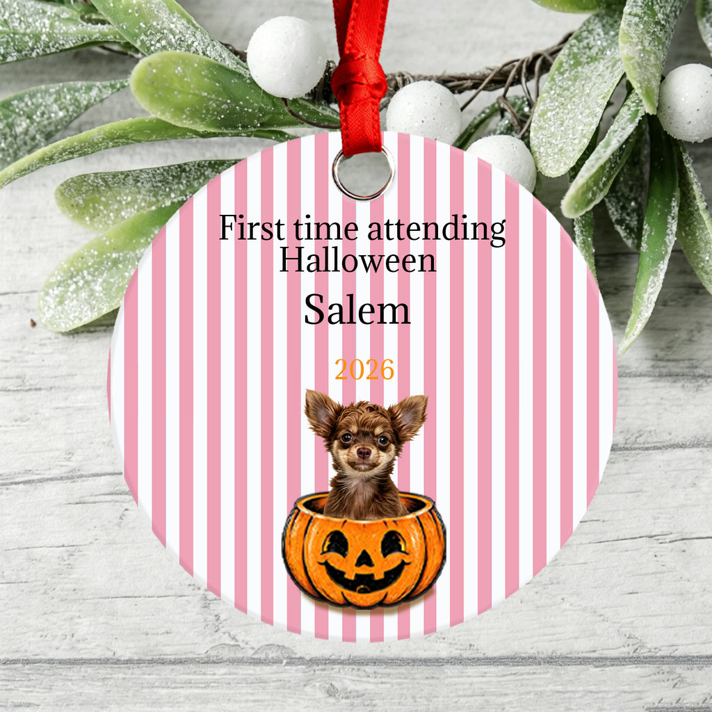 Custom First Halloween Dog Ornament, Personalized Pet Name Pumpkin Decoration, Halloween Gift for Dog Lovers